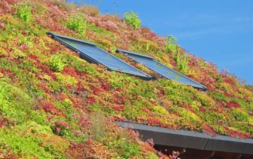 Alveley living roof systems